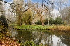 Kempenaar 80 - 40.jpg